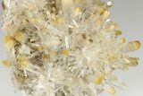 Incredible Mango Quartz Crystal Cluster - Cabiche, Colombia #188380-3